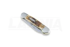 Case Cutlery Canoe Amber Bone Pocket Knife 00263 10 Case Cutlery Canoe Amber Bone Pocket Knife 00263 -Knife Shop 2322 CA00263 03