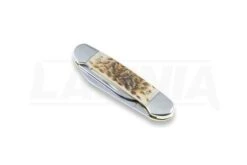 Case Cutlery Canoe Amber Bone Pocket Knife 00263 11 Case Cutlery Canoe Amber Bone Pocket Knife 00263 -Knife Shop 2322 CA00263 04