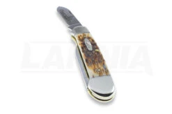 Case Cutlery Canoe Amber Bone Pocket Knife 00263 13 Case Cutlery Canoe Amber Bone Pocket Knife 00263 -Knife Shop 2322 CA00263 06