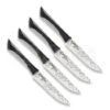 Kershaw Luna 4pc Steak Set 7075 -Knife Shop 33862 KS7075 01