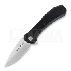 Buck Paradigm Linerlock A/O Folding Knife, Black 590BKS